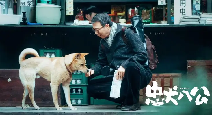 图解懒人听书区域限制